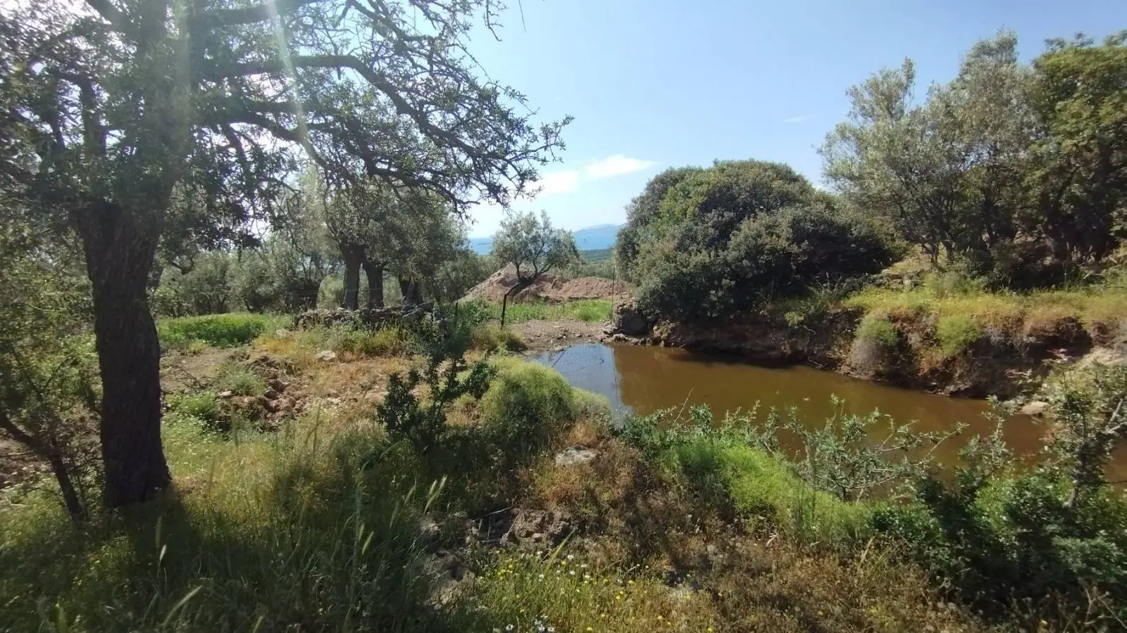 Το χρονικό μιας καταστροφικής διαχείρισης